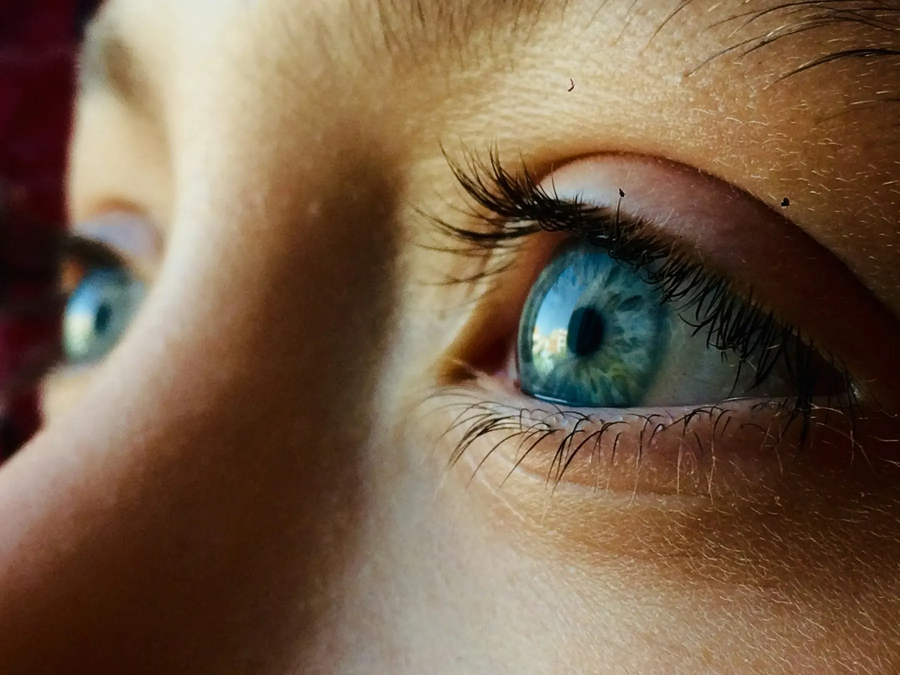 Close detail of a pair of bright blue eyes